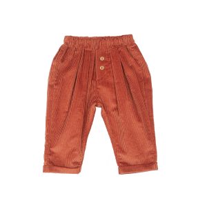 Pantalon PACO velours | Brandy