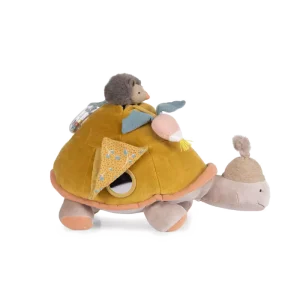 Tortue géante d&rsquo;activités