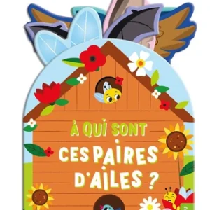 A qui sont ces paires d&rsquo;ailes ?
