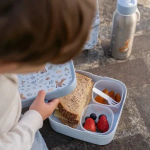 Bento Lunchbox | Forest Friends