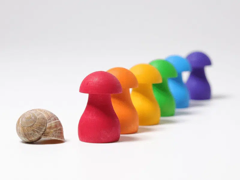 Champignons à trier arc-en-ciel – Grimm’s