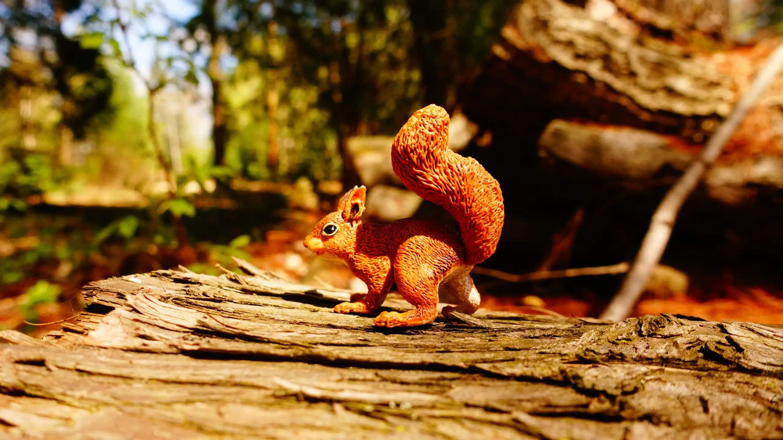 Coffret figurines – Animaux de la forêt – Papo – Image 8