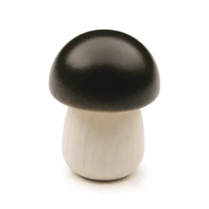 Champignon bolet jaune – Erzi