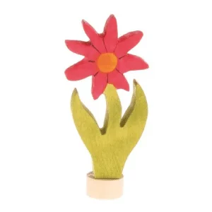 Fleur Aster – Grimm’s