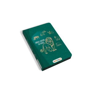 Kidydraw | Tablette à dessin, Animaux autours du monde