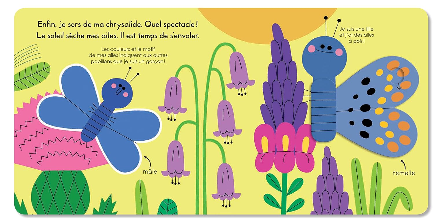 Le papillon – Image 2