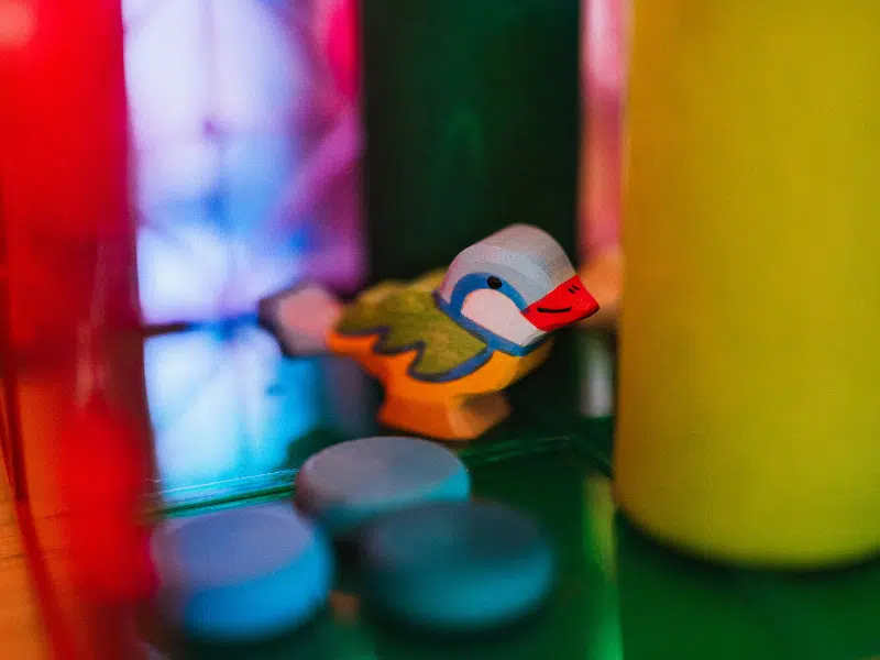 Mésange bleue – Holztiger – Image 3