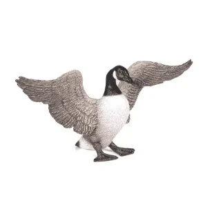 Bernache du Canada – Papo