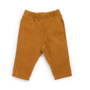 Pantalon velours | Maxime