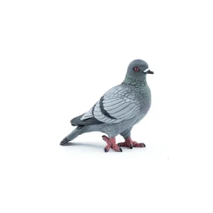 Pigeon – Papo
