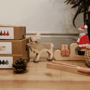 Coffret découverte – Le Sensoriel de Noël